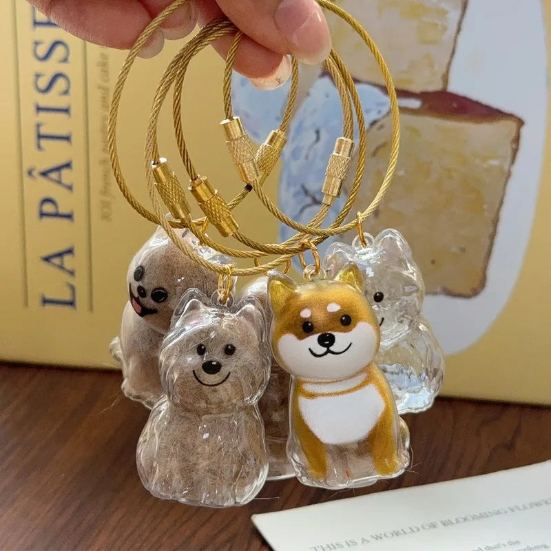 Nyckelring med Transparent Kapsel för Hundhår – Förvaringshänge, Minnesdekoration, DIY-smycke – Gåva till Djurälskare, Heminredning